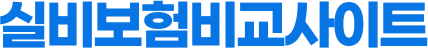 실비보험비교사이트